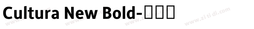 Cultura New Bold字体转换